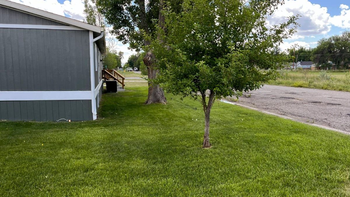 A neatly mowed Laurel, MT lawn with clean, even cut lines.